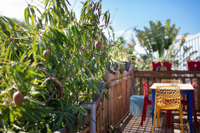 Photo d'une terrasse toit